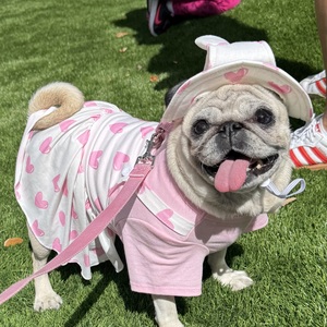 Fundraising Page: Lynette Benitez